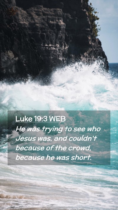 Picture 02 - Luke 19:3 WEB Mobile Phone Wallpaper - He was trying to see who Jesus was, and couldn't - Mobile Bible Verse Wallpaper