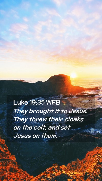 Picture 02 - Luke 19:35 WEB Mobile Phone Wallpaper - They brought it to Jesus. They threw their cloaks - Mobile Bible Verse Wallpaper