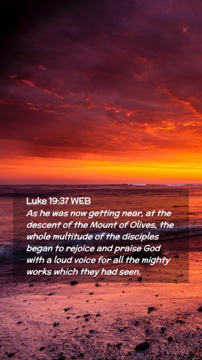 Picture 02 - Luke 19:37 WEB Mobile Phone Wallpaper - As he was now getting near, at the descent of the - Mobile Bible Verse Wallpaper