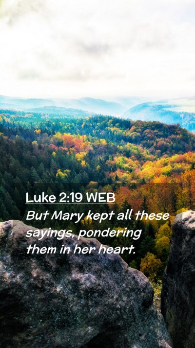 Picture 02 - Luke 2:19 WEB Mobile Phone Wallpaper - But Mary kept all these sayings, pondering them - Mobile Bible Verse Wallpaper
