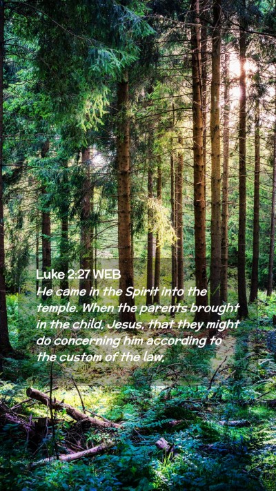Picture 02 - Luke 2:27 WEB Mobile Phone Wallpaper - He came in the Spirit into the temple. When the - Mobile Bible Verse Wallpaper