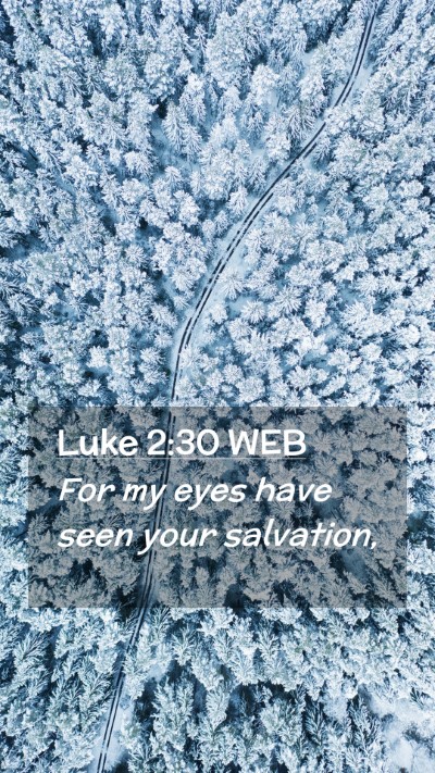 Picture 02 - Luke 2:30 WEB Mobile Phone Wallpaper - For my eyes have seen your - Mobile Bible Verse Wallpaper