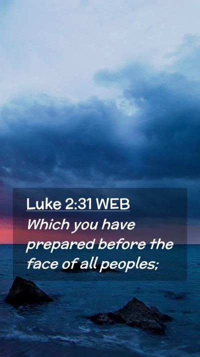 Picture 02 - Luke 2:31 WEB Mobile Phone Wallpaper - Which you have prepared before the face of all - Mobile Bible Verse Wallpaper