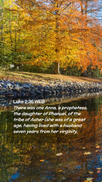 Picture 02 - Luke 2:36 WEB Mobile Phone Wallpaper - There was one Anna, a prophetess, the daughter of - Mobile Bible Verse Wallpaper