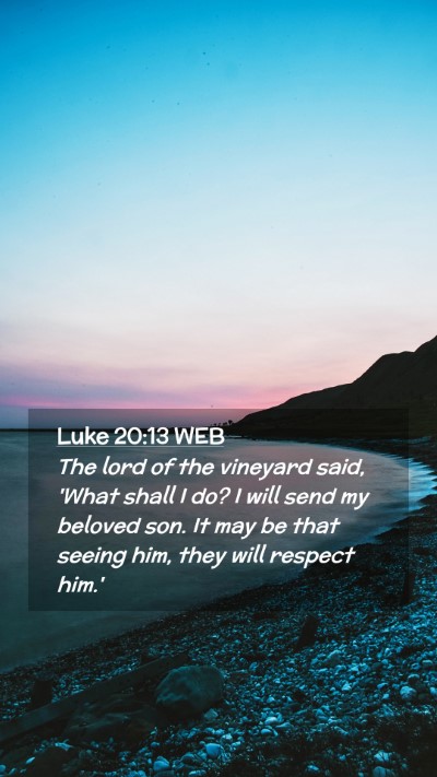Picture 02 - Luke 20:13 WEB Mobile Phone Wallpaper - The lord of the vineyard said, 'What shall I do? - Mobile Bible Verse Wallpaper