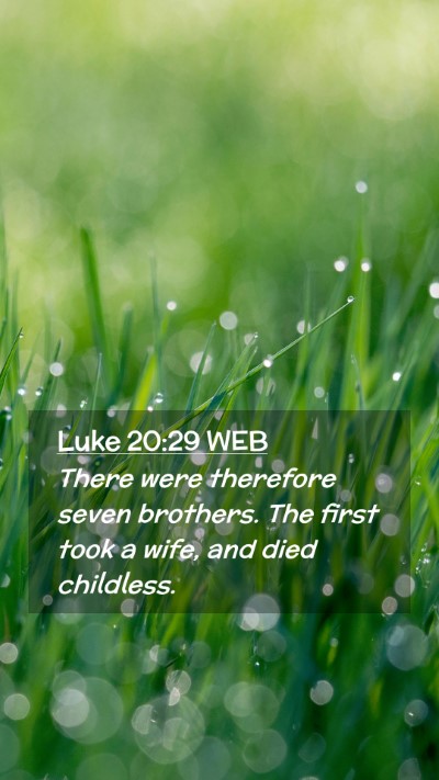 Picture 02 - Luke 20:29 WEB Mobile Phone Wallpaper - There were therefore seven brothers. The first - Mobile Bible Verse Wallpaper