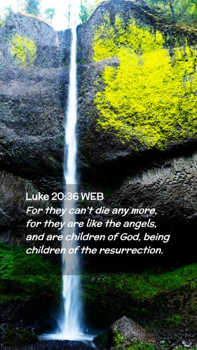 Picture 02 - Luke 20:36 WEB Mobile Phone Wallpaper - For they can't die any more, for they are like - Mobile Bible Verse Wallpaper