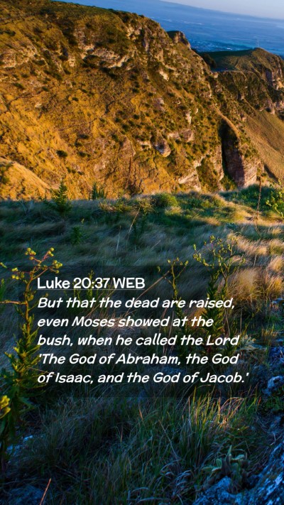 Picture 02 - Luke 20:37 WEB Mobile Phone Wallpaper - But that the dead are raised, even Moses showed - Mobile Bible Verse Wallpaper