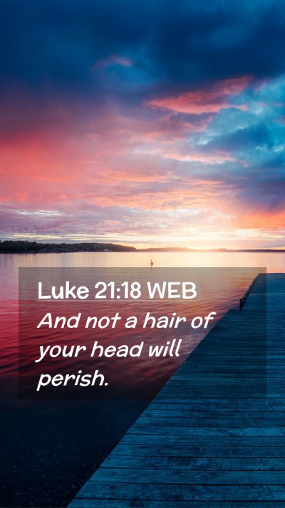 Picture 02 - Luke 21:18 WEB Mobile Phone Wallpaper - And not a hair of your head will - Mobile Bible Verse Wallpaper