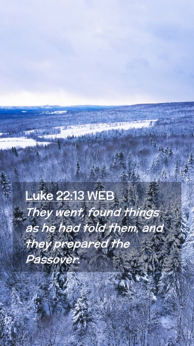 Picture 02 - Luke 22:13 WEB Mobile Phone Wallpaper - They went, found things as he had told them, and - Mobile Bible Verse Wallpaper
