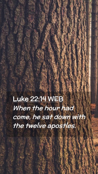 Picture 02 - Luke 22:14 WEB Mobile Phone Wallpaper - When the hour had come, he sat down with the - Mobile Bible Verse Wallpaper