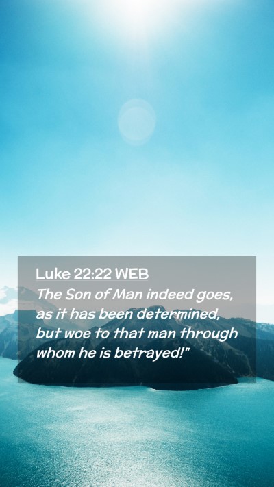 Picture 02 - Luke 22:22 WEB Mobile Phone Wallpaper - The Son of Man indeed goes, as it has been - Mobile Bible Verse Wallpaper