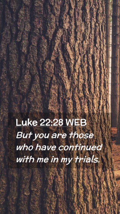 Picture 02 - Luke 22:28 WEB Mobile Phone Wallpaper - But you are those who have continued with me in - Mobile Bible Verse Wallpaper