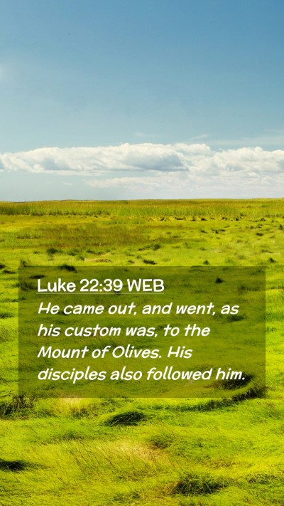 Picture 02 - Luke 22:39 WEB Mobile Phone Wallpaper - He came out, and went, as his custom was, to the - Mobile Bible Verse Wallpaper