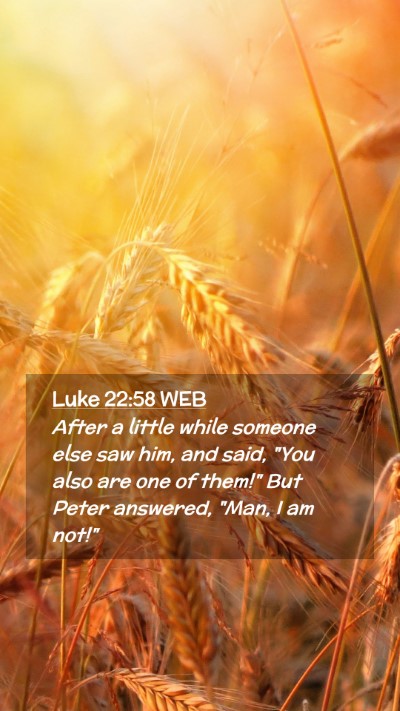 Picture 02 - Luke 22:58 WEB Mobile Phone Wallpaper - After a little while someone else saw him, and - Mobile Bible Verse Wallpaper
