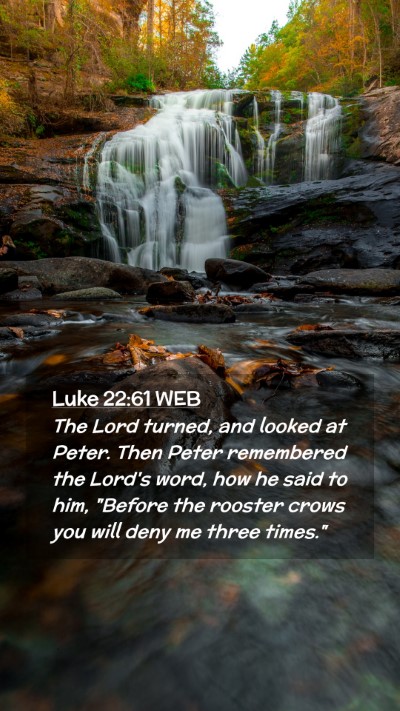 Picture 02 - Luke 22:61 WEB Mobile Phone Wallpaper - The Lord turned, and looked at Peter. Then Peter - Mobile Bible Verse Wallpaper