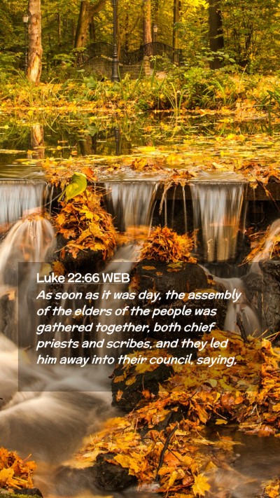 Picture 02 - Luke 22:66 WEB Mobile Phone Wallpaper - As soon as it was day, the assembly of the elders - Mobile Bible Verse Wallpaper