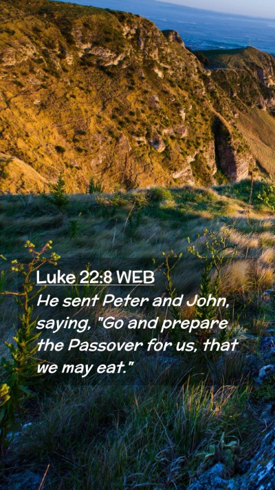 Picture 02 - Luke 22:8 WEB Mobile Phone Wallpaper - He sent Peter and John, saying, 
