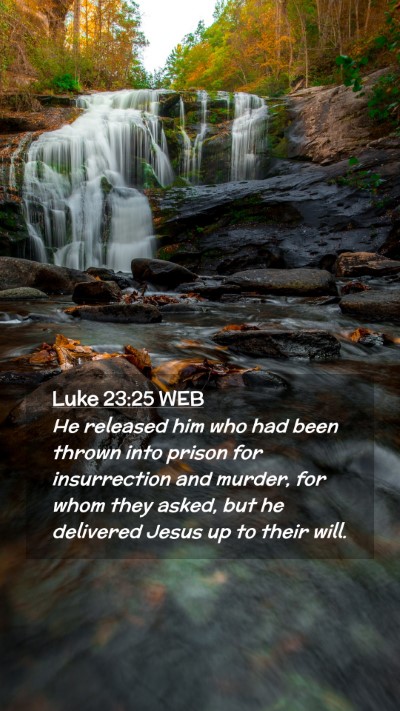 Picture 02 - Luke 23:25 WEB Mobile Phone Wallpaper - He released him who had been thrown into prison - Mobile Bible Verse Wallpaper