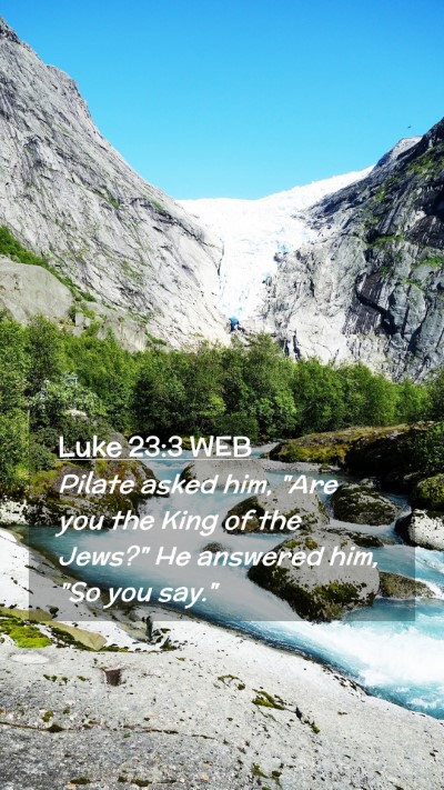 Picture 02 - Luke 23:3 WEB Mobile Phone Wallpaper - Pilate asked him, 