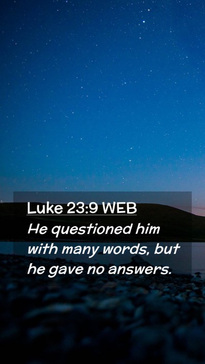 Picture 02 - Luke 23:9 WEB Mobile Phone Wallpaper - He questioned him with many words, but he gave no - Mobile Bible Verse Wallpaper