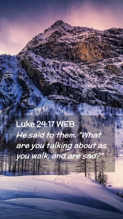 Picture 02 - Luke 24:17 WEB Mobile Phone Wallpaper - He said to them, 