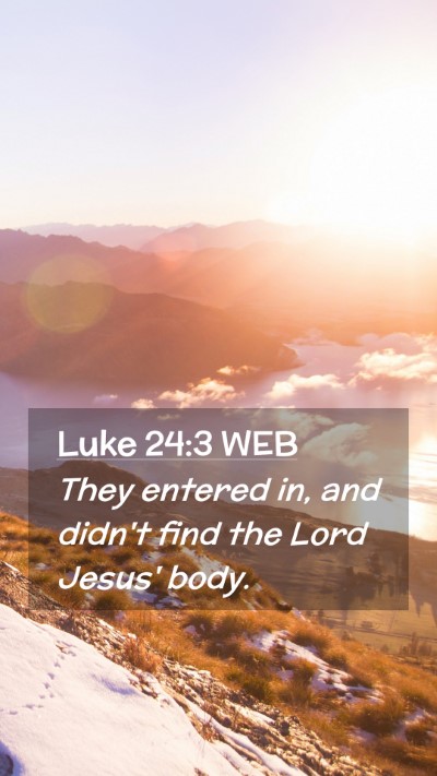 Picture 02 - Luke 24:3 WEB Mobile Phone Wallpaper - They entered in, and didn't find the Lord Jesus' - Mobile Bible Verse Wallpaper