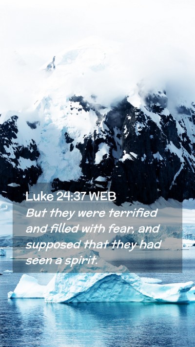 Picture 02 - Luke 24:37 WEB Mobile Phone Wallpaper - But they were terrified and filled with fear, and - Mobile Bible Verse Wallpaper