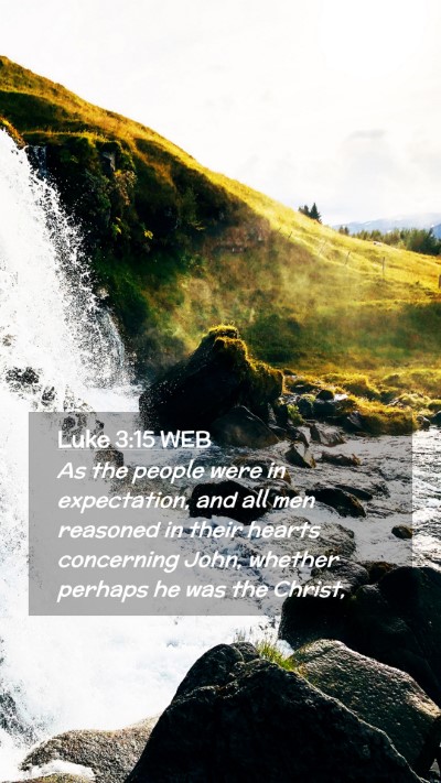 Picture 02 - Luke 3:15 WEB Mobile Phone Wallpaper - As the people were in expectation, and all men - Mobile Bible Verse Wallpaper