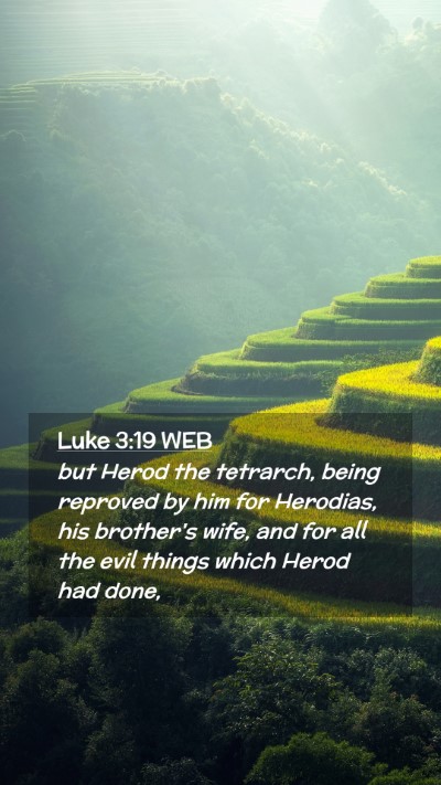 Picture 02 - Luke 3:19 WEB Mobile Phone Wallpaper - but Herod the tetrarch, being reproved by him for - Mobile Bible Verse Wallpaper