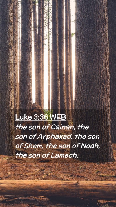 Picture 02 - Luke 3:36 WEB Mobile Phone Wallpaper - the son of Cainan, the son of Arphaxad, the son - Mobile Bible Verse Wallpaper