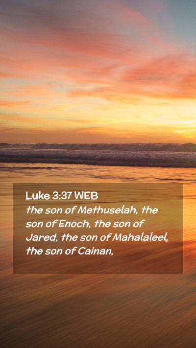 Picture 02 - Luke 3:37 WEB Mobile Phone Wallpaper - the son of Methuselah, the son of Enoch, the son - Mobile Bible Verse Wallpaper