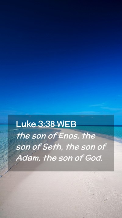 Picture 02 - Luke 3:38 WEB Mobile Phone Wallpaper - the son of Enos, the son of Seth, the son of - Mobile Bible Verse Wallpaper