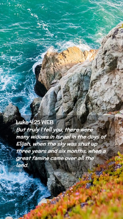 Picture 02 - Luke 4:25 WEB Mobile Phone Wallpaper - But truly I tell you, there were many widows in - Mobile Bible Verse Wallpaper