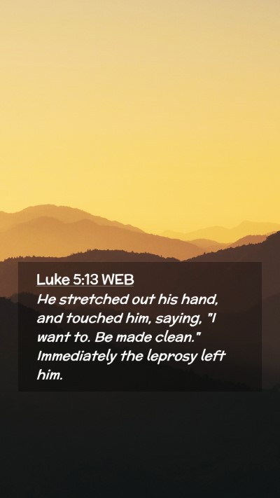 Picture 02 - Luke 5:13 WEB Mobile Phone Wallpaper - He stretched out his hand, and touched him, - Mobile Bible Verse Wallpaper