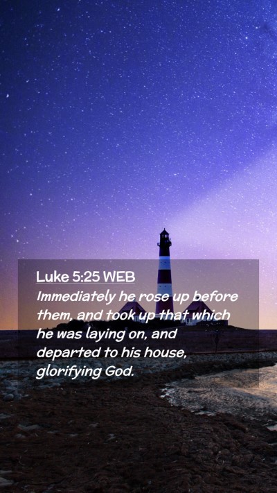 Picture 02 - Luke 5:25 WEB Mobile Phone Wallpaper - Immediately he rose up before them, and took up - Mobile Bible Verse Wallpaper