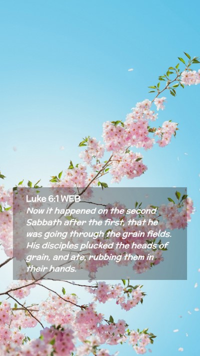 Picture 02 - Luke 6:1 WEB Mobile Phone Wallpaper - Now it happened on the second Sabbath after the - Mobile Bible Verse Wallpaper
