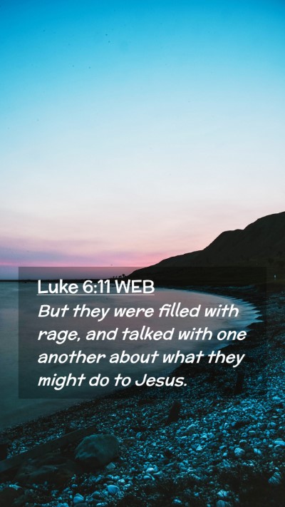 Picture 02 - Luke 6:11 WEB Mobile Phone Wallpaper - But they were filled with rage, and talked with - Mobile Bible Verse Wallpaper