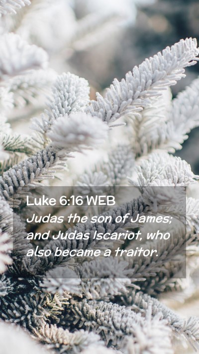 Picture 02 - Luke 6:16 WEB Mobile Phone Wallpaper - Judas the son of James; and Judas Iscariot, who - Mobile Bible Verse Wallpaper