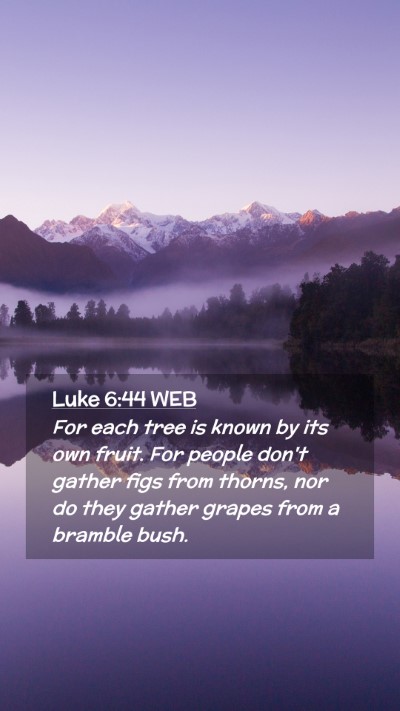 Picture 02 - Luke 6:44 WEB Mobile Phone Wallpaper - For each tree is known by its own fruit. For - Mobile Bible Verse Wallpaper