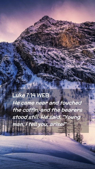Picture 02 - Luke 7:14 WEB Mobile Phone Wallpaper - He came near and touched the coffin, and the - Mobile Bible Verse Wallpaper