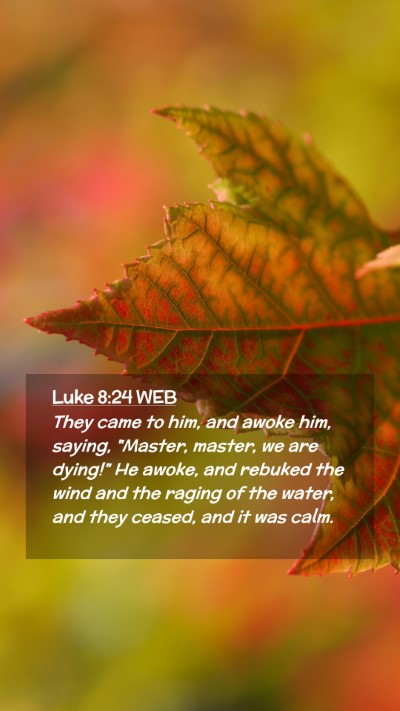 Picture 02 - Luke 8:24 WEB Mobile Phone Wallpaper - They came to him, and awoke him, saying, 