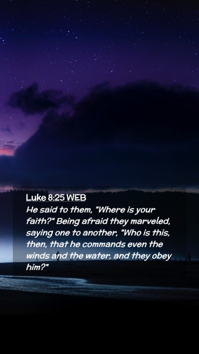 Picture 02 - Luke 8:25 WEB Mobile Phone Wallpaper - He said to them, 