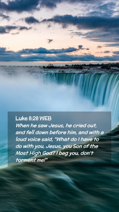 Picture 02 - Luke 8:28 WEB Mobile Phone Wallpaper - When he saw Jesus, he cried out, and fell down - Mobile Bible Verse Wallpaper