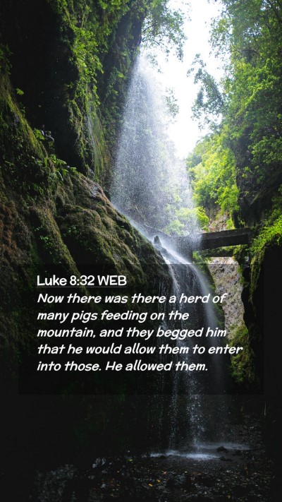 Picture 02 - Luke 8:32 WEB Mobile Phone Wallpaper - Now there was there a herd of many pigs feeding - Mobile Bible Verse Wallpaper