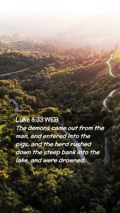 Picture 02 - Luke 8:33 WEB Mobile Phone Wallpaper - The demons came out from the man, and entered - Mobile Bible Verse Wallpaper