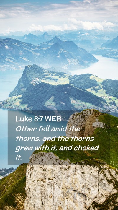 Picture 02 - Luke 8:7 WEB Mobile Phone Wallpaper - Other fell amid the thorns, and the thorns grew - Mobile Bible Verse Wallpaper