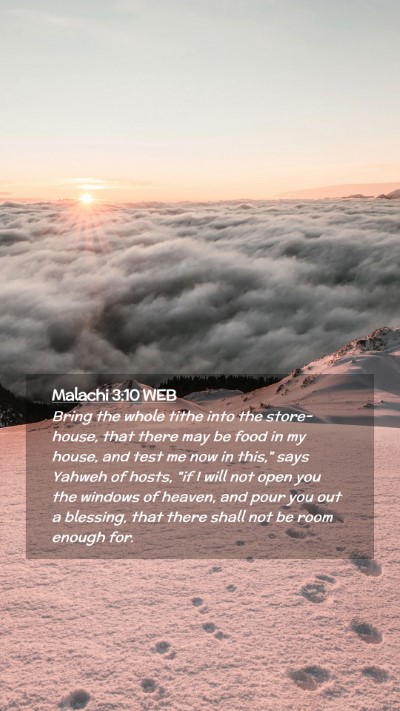 Picture 02 - Malachi 3:10 WEB Mobile Phone Wallpaper - Bring the whole tithe into the store-house, that - Mobile Bible Verse Wallpaper
