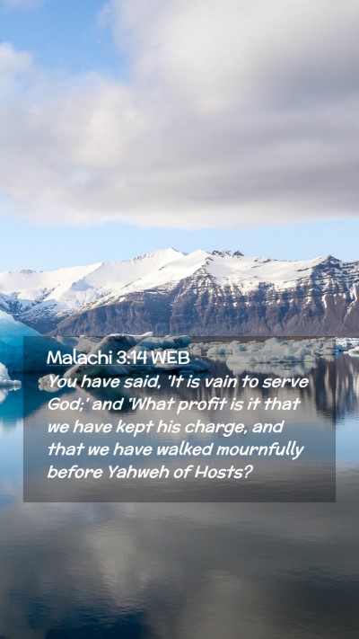 Picture 02 - Malachi 3:14 WEB Mobile Phone Wallpaper - You have said, 'It is vain to serve God;' and - Mobile Bible Verse Wallpaper