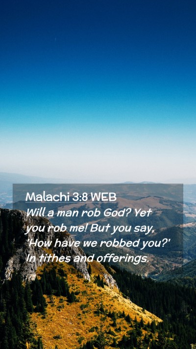 Picture 02 - Malachi 3:8 WEB Mobile Phone Wallpaper - Will a man rob God? Yet you rob me! But you say, - Mobile Bible Verse Wallpaper